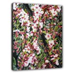 Cherry Blossoms Canvas 20  x 16  (Stretched)