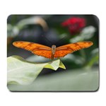 Orange Butterfly Large Mousepad