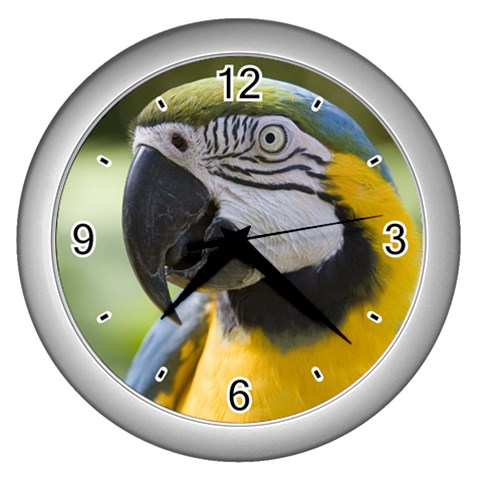 Handsome Parrot Wall Clock (Silver) from Custom Dropshipper Front