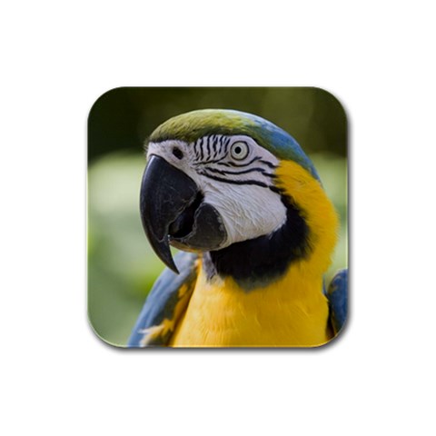 Handsome Parrot Rubber Square Coaster (4 pack) from Custom Dropshipper Front