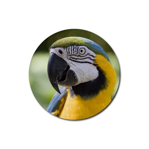 Handsome Parrot Rubber Round Coaster (4 pack) from Custom Dropshipper Front