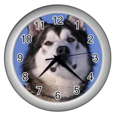 Alaskan Malamute Dog Wall Clock (Silver) from Custom Dropshipper Front