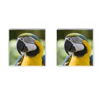 Parrot Cufflinks (Square)