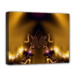 Fractal192 Deluxe Canvas 20  x 16  (Stretched)