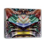 Fractal218 Deluxe Canvas 14  x 11  (Stretched)