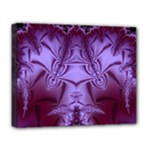 Fractal241 Deluxe Canvas 20  x 16  (Stretched)