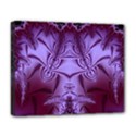Deluxe Canvas 20  x 16  (Stretched) 
