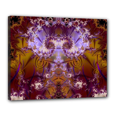 Fractal246 Canvas 20  x 16  (Stretched) from Custom Dropshipper
