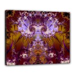 Fractal246 Canvas 20  x 16  (Stretched)