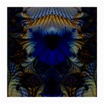Fractal164 Glasses Cloth (Medium, Two Sides)