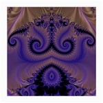 Fractal180 Glasses Cloth (Medium, Two Sides)