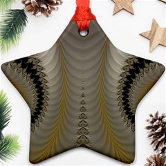 Fractal181 Star Ornament (Two Sides) from Custom Dropshipper Front