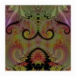 Fractal186 Glasses Cloth (Medium, Two Sides)
