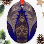 Fractal194 Ornament (Oval)