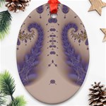 Fractal212 Oval Ornament (Two Sides)