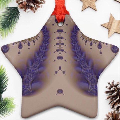 Fractal212 Star Ornament (Two Sides) from Custom Dropshipper Front