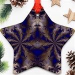 Fractal249 Ornament (Star)