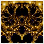Fractal252 Canvas 20  x 20 