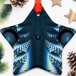 Fractal255 Ornament (Star)