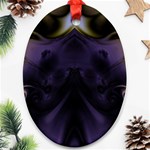 Fractal261 Ornament (Oval)