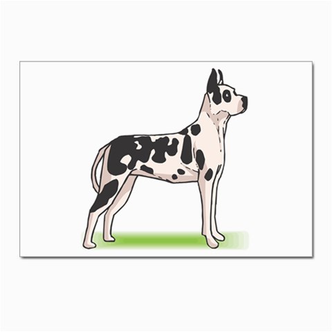 Great Dane Postcards 5  x 7  (Pkg of 10) from Custom Dropshipper Front