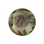 Koala Bear Rubber Round Coaster (4 pack)
