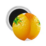 orange 2.25  Magnet