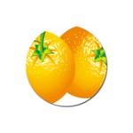 orange Magnet 3  (Round)