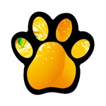 orange Magnet (Paw Print)