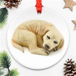 Golden Lab Ornament (Round)