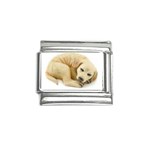 Golden Lab Italian Charm (9mm)