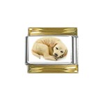 Golden Lab Gold Trim Italian Charm (9mm)