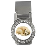 Golden Lab Money Clip (CZ)