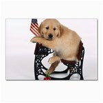 Labrador Puppy 1 Postcards 5  x 7  (Pkg of 10)