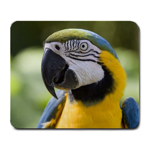 Handsome Parrot Large Mousepad from Custom Dropshipper Front