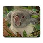 Koala Bear Large Mousepad