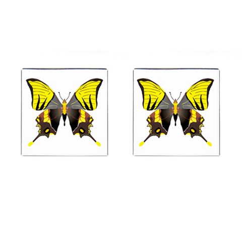 Butterfly M2 Cufflinks (Square) from Custom Dropshipper Front(Pair)
