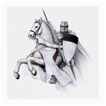 templar on rearing horse Glasses Cloth (Medium)