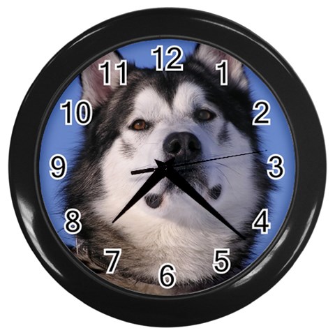 Alaskan Malamute Dog Wall Clock (Black) from Custom Dropshipper Front