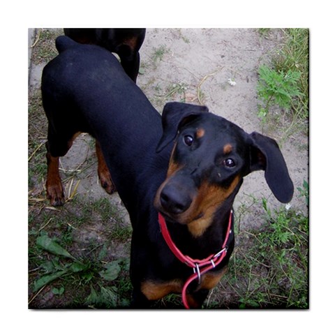 Doberman Pinscher Dog Tile Coaster from Custom Dropshipper Front