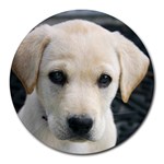 Labrador Retriever Dog Round Mousepad