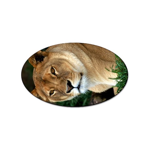 Lioness 0009 Sticker (Oval) from Custom Dropshipper Front