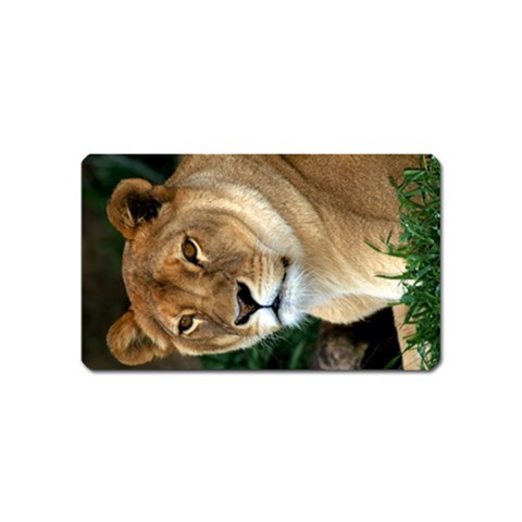 Lioness 0009 Magnet (Name Card) from Custom Dropshipper Front