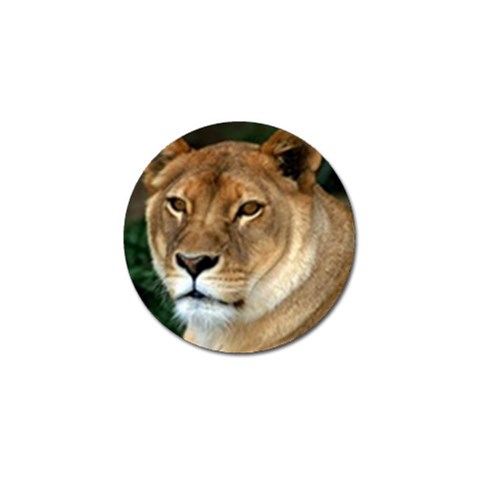 Lioness 0009 Golf Ball Marker from Custom Dropshipper Front