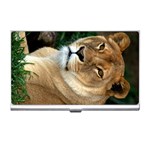 Lioness 0009 Business Card Holder
