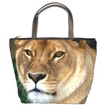Lioness 0009 Bucket Bag